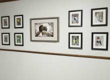 Jung Center Project - Black River Museum